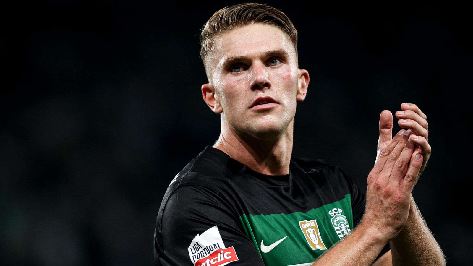 让远道而来 让远道而来